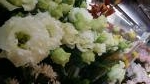 色分け♪｜「花とく」　（佐賀県佐賀市の花キューピット加盟店 花屋）のブログ